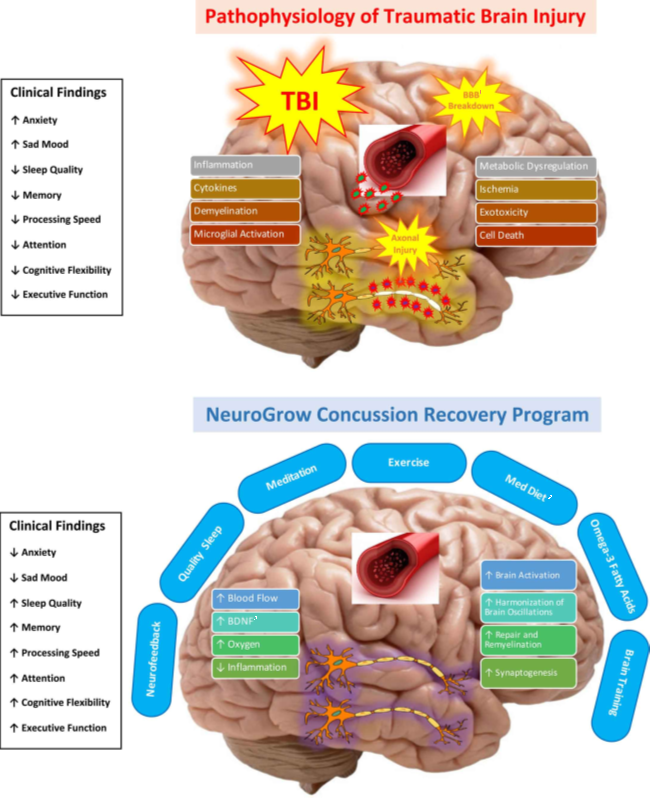 Pathophysiology Traumatic Brain Injury
