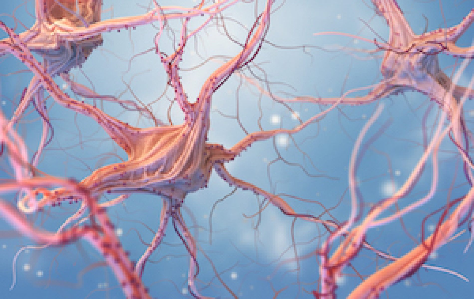 neurons firing in a brain
