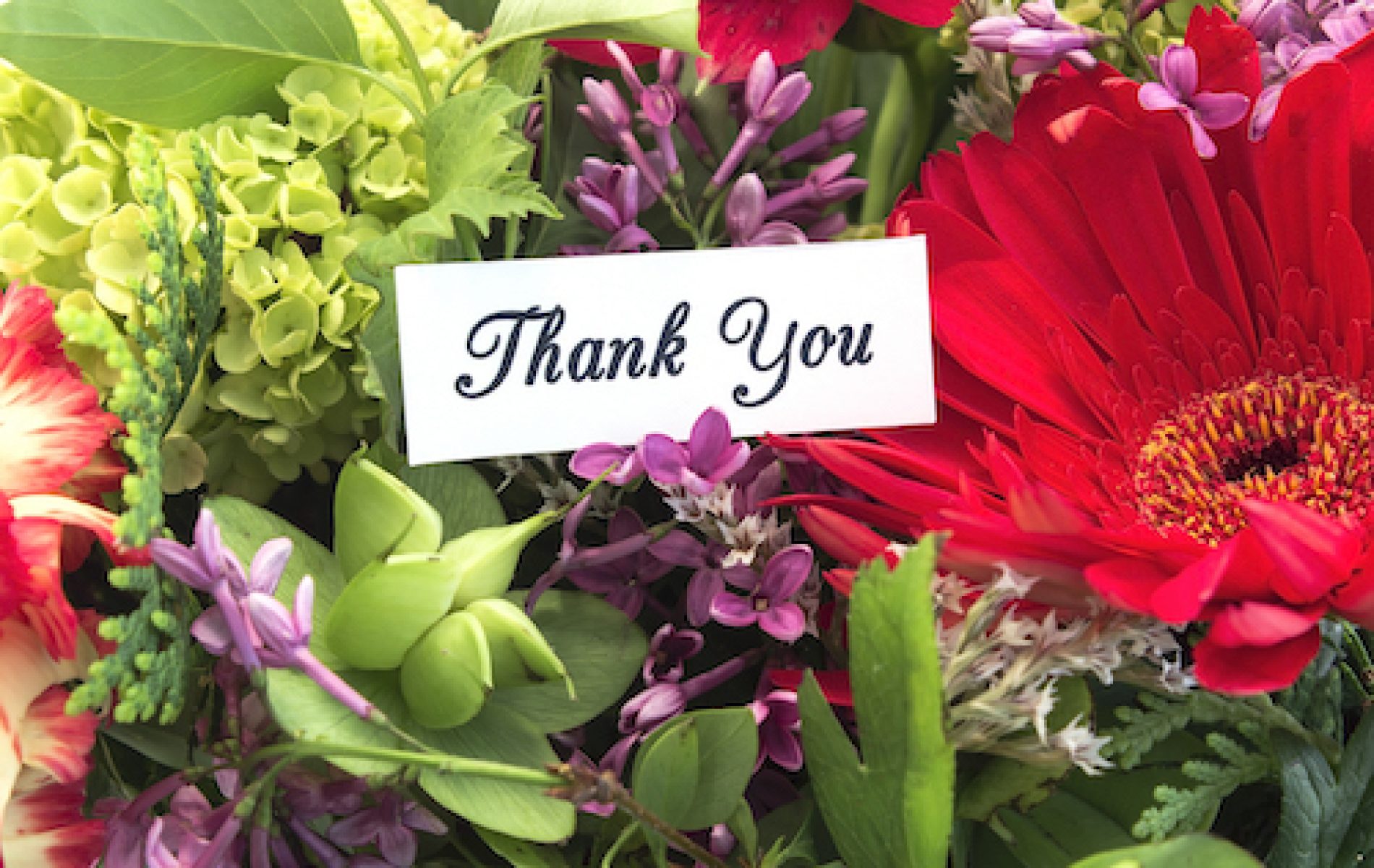 thank you card in flowers