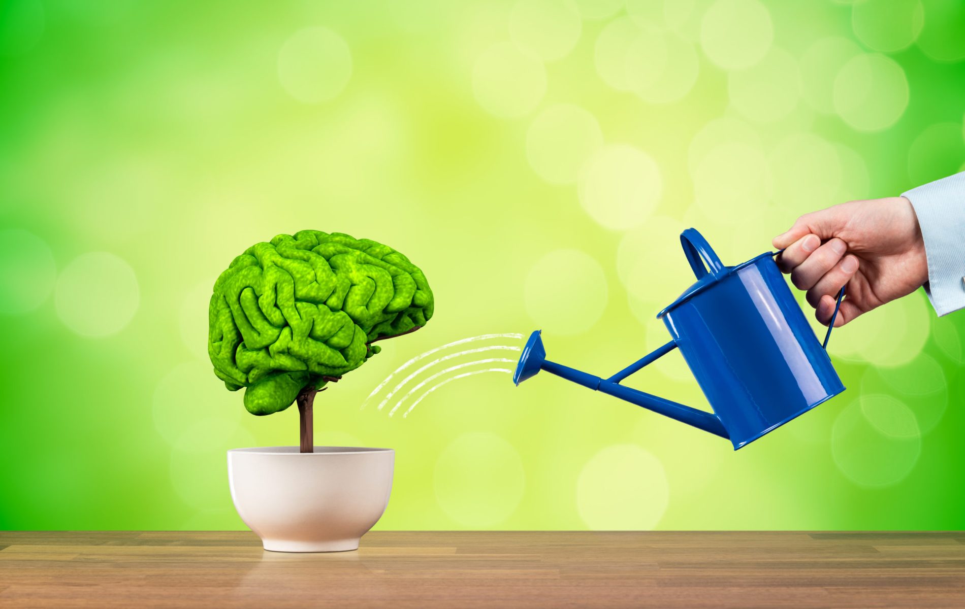 hydration for your brain